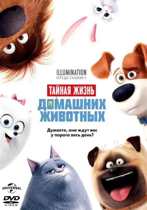«Тайная жизнь домашних животных » 
 2024.03.28 17:38 бесплатно на русском языке в высоком качестве.
